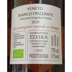 Bianco Frizzante Gargabella 2019, Azienda Elvira in Veneto