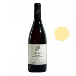 Vino Bianco Màcina, Luciano Baldiati Massa Carrara - Toscana