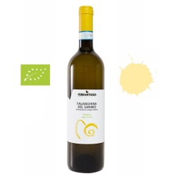 FALANGHINA DEL SANNIO 2022 " TERRANTIQUA " Campania