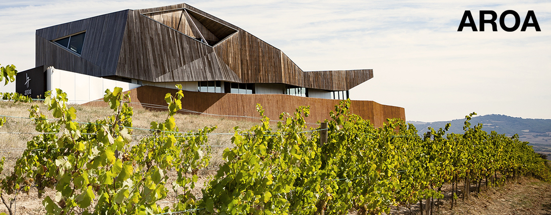 Cantina Bodegas Aroa in Spagna