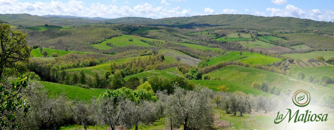 Fattoria La Maliosa in Toscana