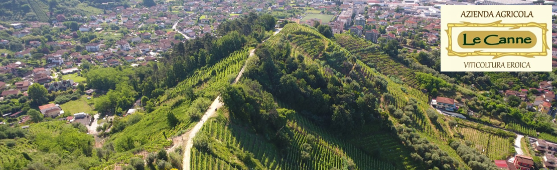 Azienda Agricola le Canne in Toscana