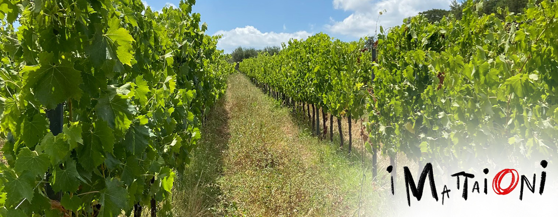 Azienda I Mattaioni in Toscana